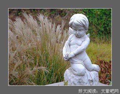 去爱吧，像从来没有受过伤一样…