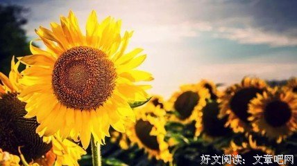 2018年最感人的12张图，你看到第几张哭了？