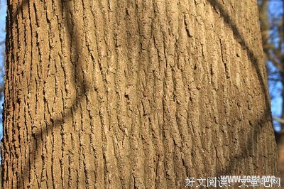 每晚不是睡不好，就是梦见你。
