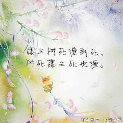 最全的《曾许诺》名句欣赏大全