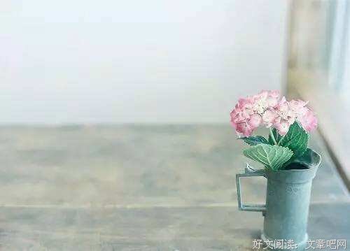 喜欢发朋友圈的，都是什么人