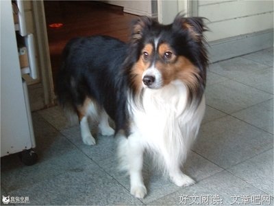 在吗？