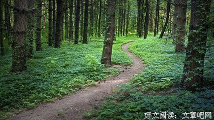 修行，是很美好的