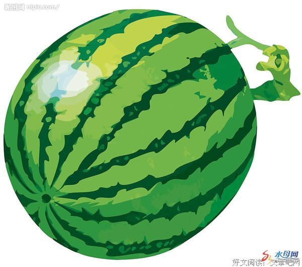 在湿漉漉的夏天里，吃一颗青木瓜吧 | ONE有影力
