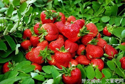 关于张着嘴的座右铭