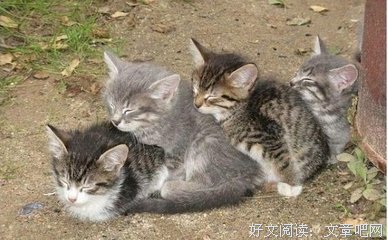 很久的名句_关于很久的名句