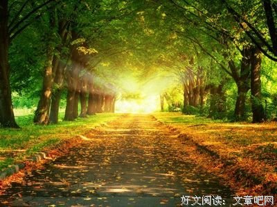 2017李尚龙经典语录