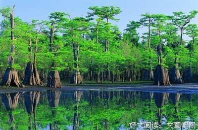 2017静水边15句经典名言