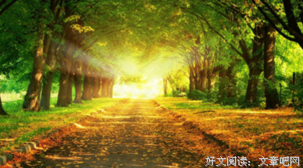 吴淡如经典句子