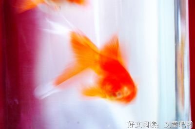 妖月空经典句子