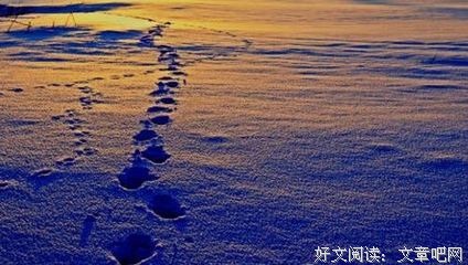 ⊱我想白活一辈子