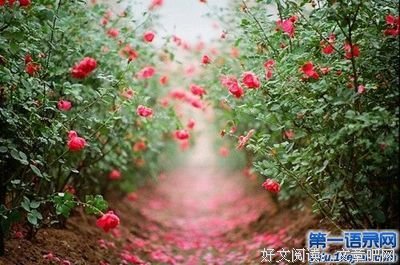 最新的《眠空》散文美句大全
