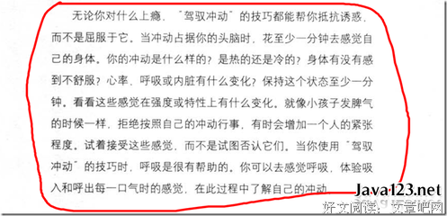 《程序员的呐喊》的读后感10篇