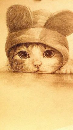 【壁纸】我们一起学猫叫 一起喵喵喵