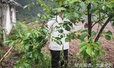 毕业十年，他年薪百万，我月薪5000，人与人差距怎么这么大？