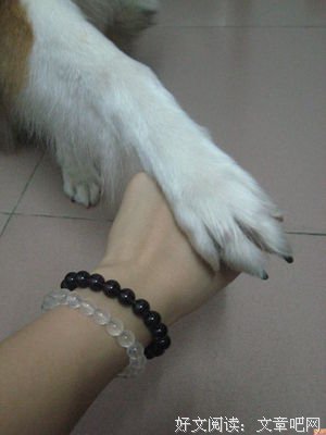 就这样和你，‘吵吵闹闹’过一生