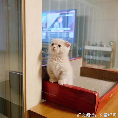 照片拍得美不美就代表爱我有多深