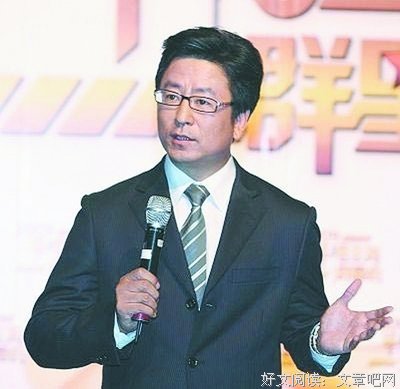 描写白岩松的语句摘抄