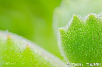 关于子轩名言名句