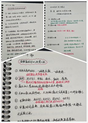 如何阅读一本书读后感精选10篇