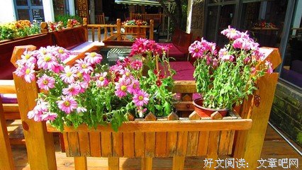顶缸车震的小表妹