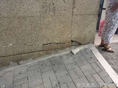 孩子和狗二选一，夫妻为此闹离婚，丈夫怒吼：难道我还不如一条狗
