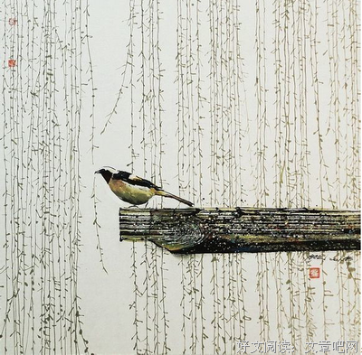 你不来，我不老