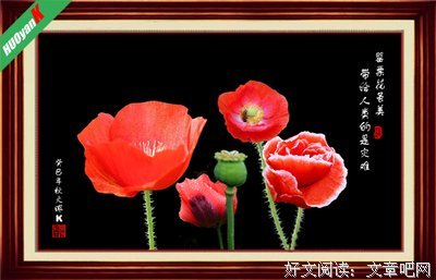关于巩固的座右铭