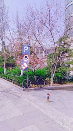 描写悲壮的语句摘抄
