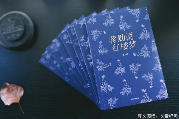 最全的《蒋勋细说红楼梦》经典的句子