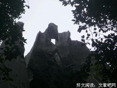 人非草木，此生如树。