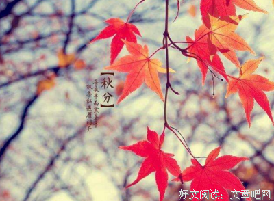 关于轻罗小扇的语句