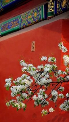 岁月提醒我！