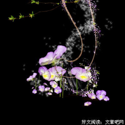 张惠妹精彩语录