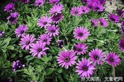 为钱，累一生，为情，苦一世