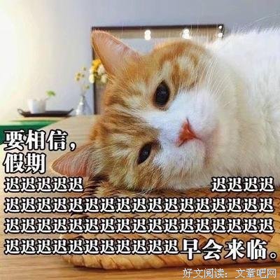 《三尸语》番外37 借面吊丧