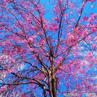 最全的《如果巴黎不快乐Ⅲ》小说摘抄大全