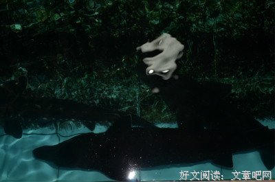 《话/镜》读后感10篇