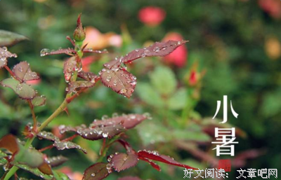 朗诵：小暑，总有一处宁静属于你