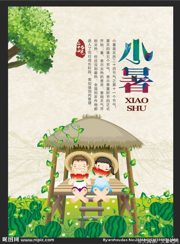 老树 ｜ 廿四节气 小暑
