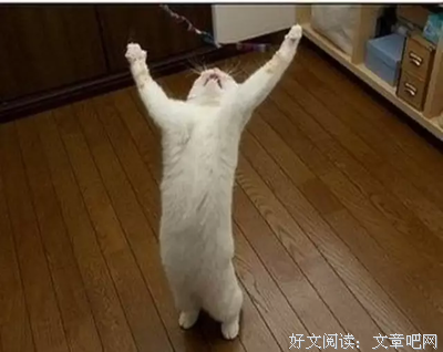 我睡了小三的老公