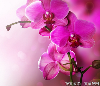 荣华富贵的名人名言