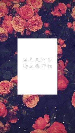 关于一发不可收的语句