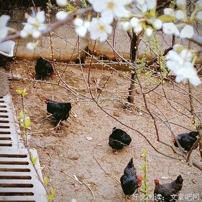 雨滴瞬间从我脸狭划过，很高兴遇见你