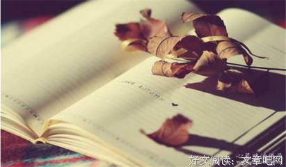 关于明枪暗箭的格言