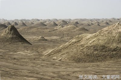 关于鲁克的语句