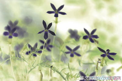 前途无量的句子