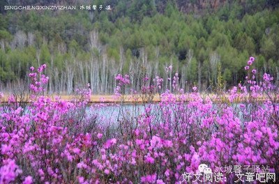子规的句子