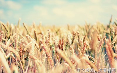 关于百折不挠的语句