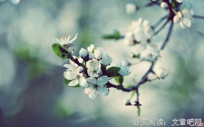 成功的婚姻，需要做的只有两件事
